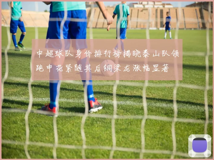 中超球队身价排行榜揭晓泰山队领跑申花紧随其后铜梁龙涨幅显著