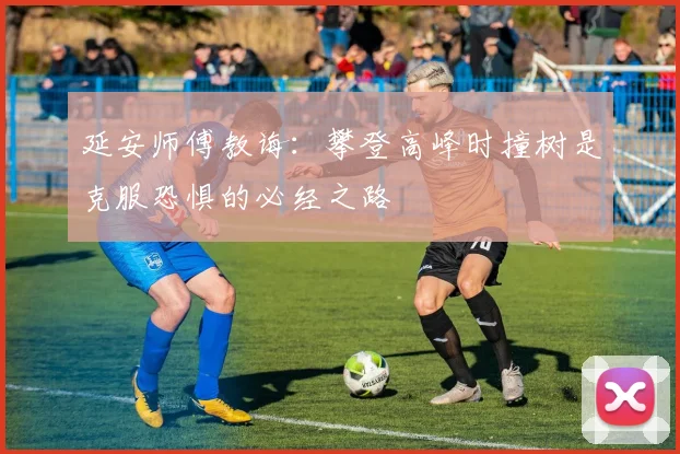 延安师傅教诲：攀登高峰时撞树是克服恐惧的必经之路